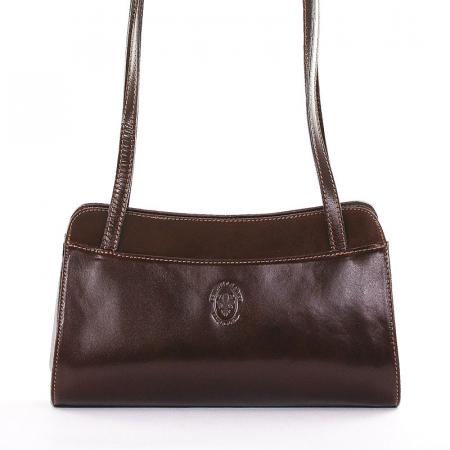 Sylvia Belmonte women's bag brown AB01