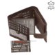 Corvo Bianco sporty brown wallet CVL6002L / T-BA