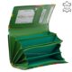 Damengeldbörse mit modischem Muster GIULTIERI grün SZI108
