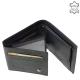 Wallet made of genuine leather gray WILD BEAST SWC1021